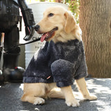 Windproof Hoodie for Medium & Large Dogs