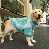 Windproof Hoodie for Medium & Large Dogs