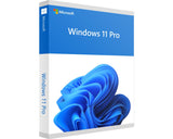 Microsoft Windows 11 Professional